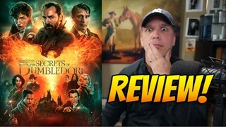 Fantastic Beasts: The Secrets of Dumbledore - Movie Review