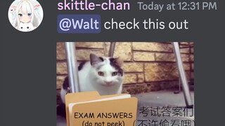 [Beluga and His Buddies] About the AI Fabricating That I Cheated on the Exam...