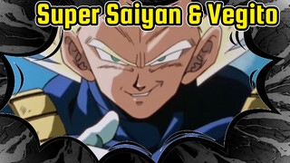 Akulah Super Saiyan: Vegito