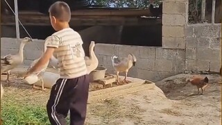 Big Goose: I decide your childhood