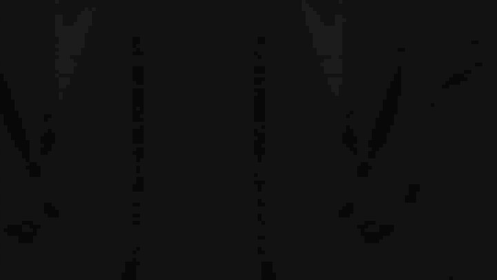 Hai anhemnhàHaitani