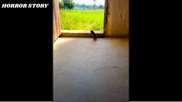 #horrorstory #fyp