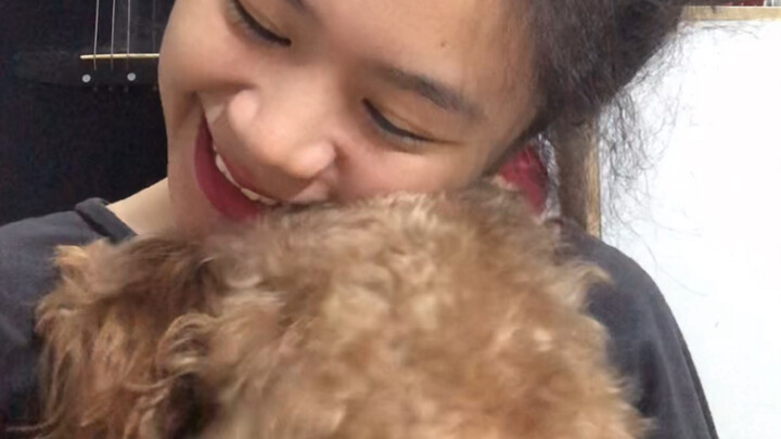 Let's take a look at dogs and chat about dogs.