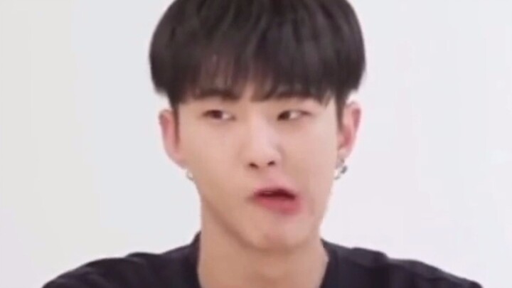 【SVT】Bộ sưu tập hình ảnh bắt chước người khác