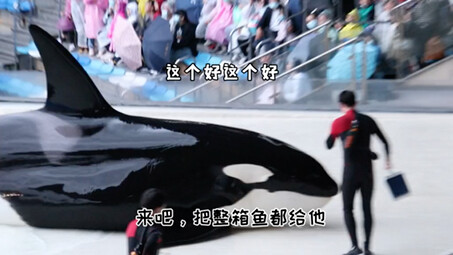 พังหู คุณช่างเป็นคนฉลาดจริงๆ