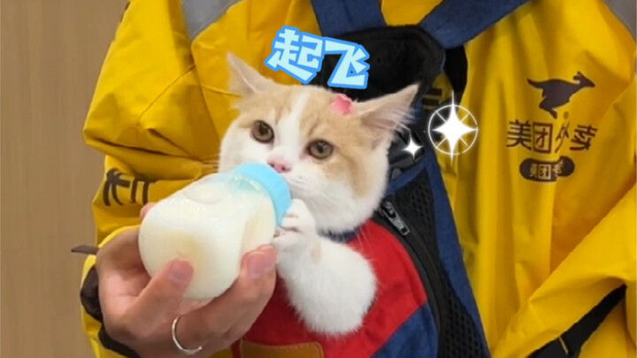 The delivery guy must have spent his entire paycheck on baby formula!