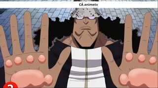 Tất tần tật về Jinbe và quá trình trở thành thành viên thứ 10 băng Mũ Rơm ! 7