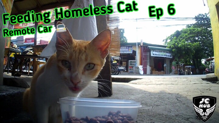 Feeding Homeless Cat with Remote Car! 🚘 #EP6 #straycat #straycatvideos #staycats #cats