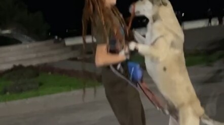 Dog: I can't hold back anymore—you're it.