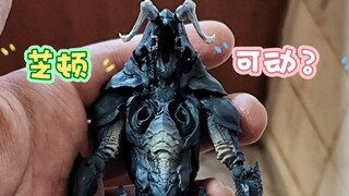 【怪兽展示】可动怪兽艺术家系列--高木亮芝顿！！！你的手上的新奥特曼能不能打过这只芝顿？？