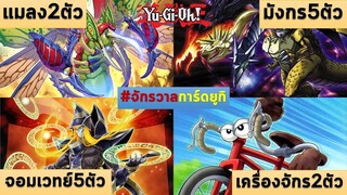 14 มอนสเตอร์ฟิวชั่น ที่เกิดจากวัตถุดิบ "เผ่าเดียวกัน" || จักรวาลการ์ด EP.405