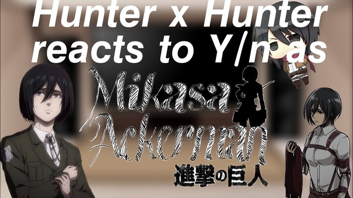 Hunter x Hunter reacts to Y/n as Mikasa Ackerman||REQUESTED||ANNOUNCEMENT AT THE END|| Hxh x Y/n||TW