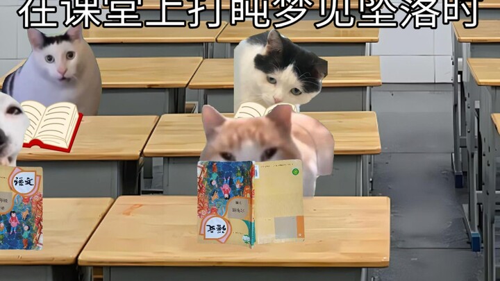在课堂上打盹梦见坠落时