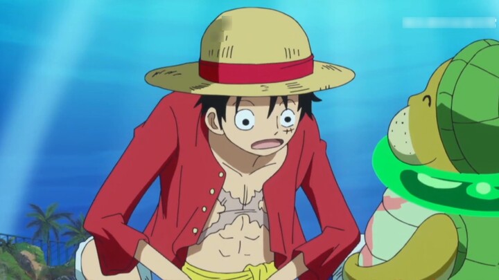 Kelompok bajak laut aneh di One Piece, kelompok bajak laut ini tidak tahu apakah akan ada bounty!