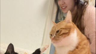 المعركة الصامتة على وشك الاندلاع