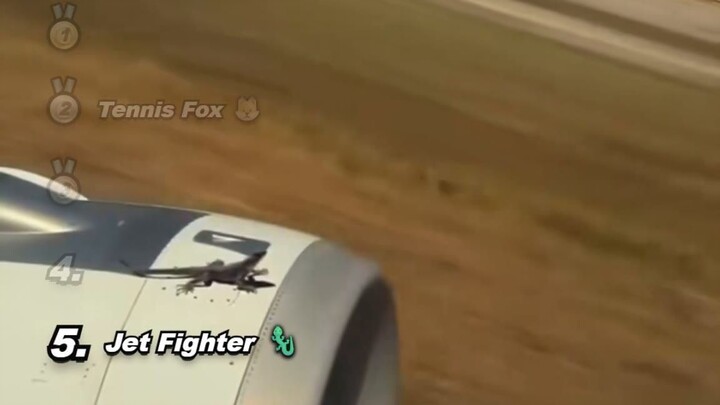 Fox vs Tennis Ball, Jet Lizard & Taco Rabbit: Animals Being Ridiculous