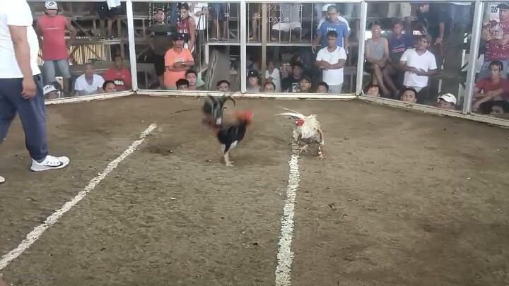 10placer champion fastestkill at gallego cockpit arena