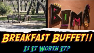 Boma Breakfast Buffet At Animal Kingdom Lodge (Jambo Dining Review)