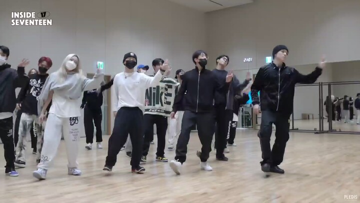 小狗转圈扫射 喜欢这个编舞设计