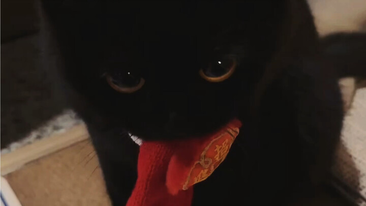 Loại lời chúc vừa đáng yêu vừa “nguy hiểm” này, cho tôi cả tá luôn!