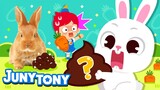 🐰 Rabbits Eat Their Poo | Hippity-Hoppity! The Year of the Rabbit | Animal Songs for Kids | JunyTony