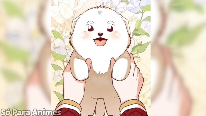 Garota Morre e Reencarna Como o Cachorro de um Imperador Tirano - Manhwa Resumo