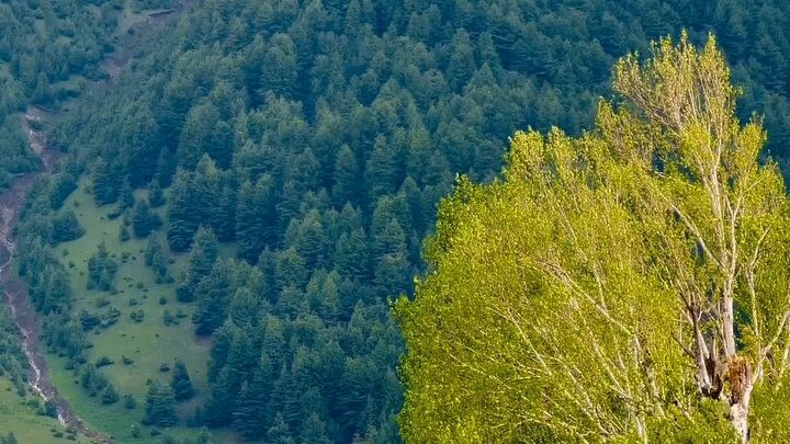 Pakistan view ❤️🎉