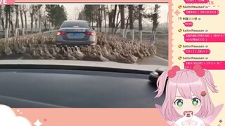 日本妖精看《动物迷惑行为大赏139》