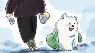 Mengapa Samoyed sangat cocok untuk memungut sampah!