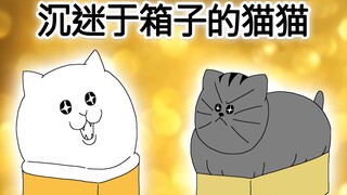 [禽兽朋友们] 沉迷于箱子的猫猫