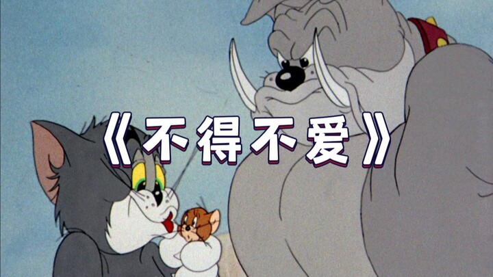 This Is the Original MV for “Can’t Help but Love”!!!