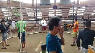 December 25 2022 4wins una laban🐓.