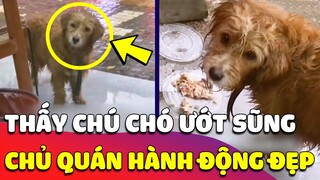 Thấy chú Chó hoang ƯỚT SŨNG vì trời mưa, chủ quán có HÀNH ĐỘNG ĐẸP làm ẤM LÒNG cư dân mạng 🥰 Gâu Đần