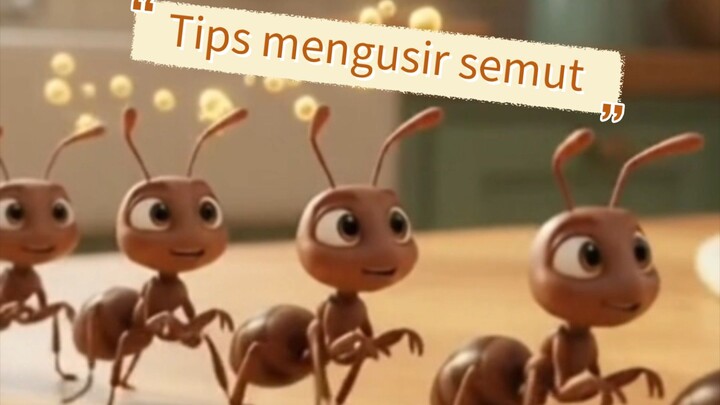Tips Mengusir semut