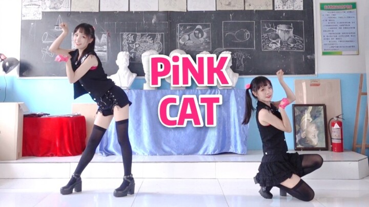 【塔矢蘭×塔矢兰】PiNK CAT【一人两役】