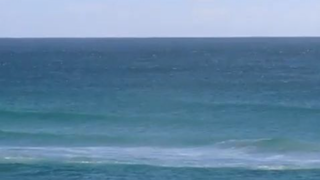 Malibu Shark Attack