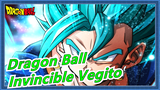 [Dragon Ball] Invincible Vegito