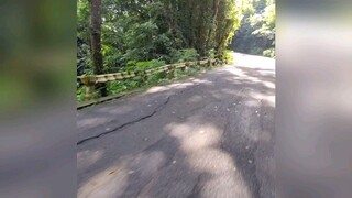 Road to Chocolate Hills