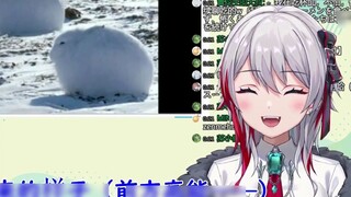 Miss Natural Japan's shocking reaction after watching "Arctic Rabbit Standing Up"