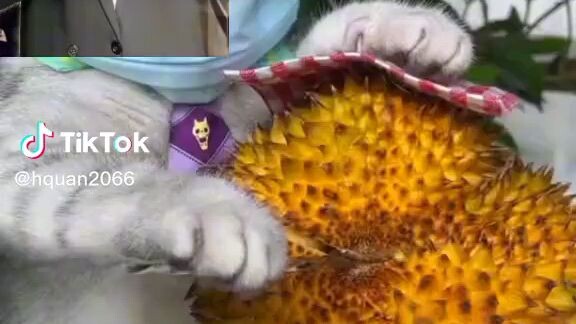 những cái tên bất ổn