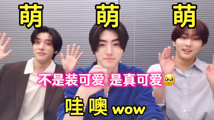 Mở live là khoe luôn tiếng Trung/ Cứ ngỡ có 2 triệu người xem nên mừng đến ngất/ Đến khi thấy hiệu ứ