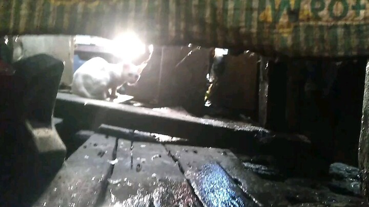 Can you please give us the best and most m 😁