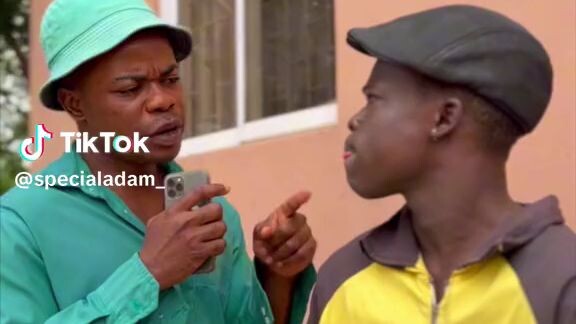 how do you call mosquito in your language