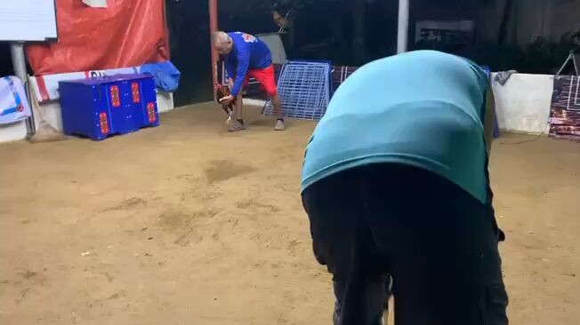 1 selection for 8  UGBOD stag derby @ NAC BOGO NOV 8,2025