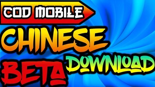 How to Download Call of Duty Mobile Chinese (Beta)