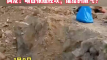 Seeing construction underway, I rushed over and found my grandparents’ graves had been dug up! Netiz