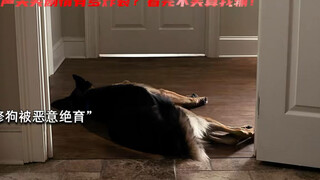 很难想象当时拍这部剧时导演的精神状态，这剧情也太炸裂了吧！