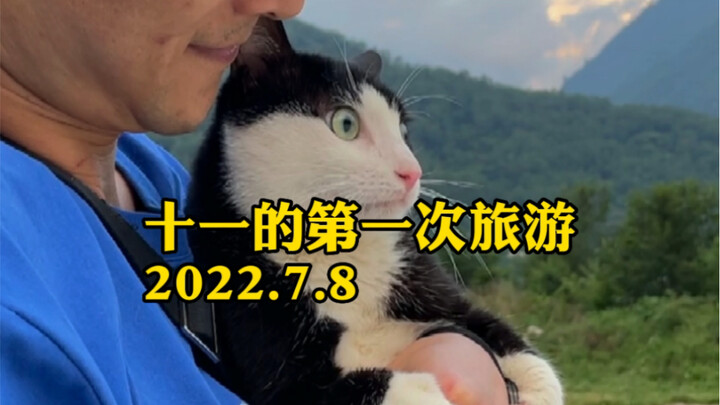 Though you can’t walk like other kids, it doesn’t take away your feline happiness—adoption is salvat