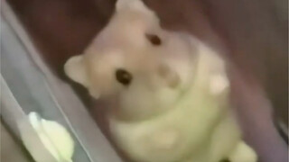 หนู: ดื่มชาก่อนนะ!