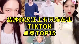 韩国人又疯了！一夜爆红！符迅速破百万！柳智敏女豆第一！韩团的'结冰的汉江上有猫在走'挑战 TIKTOK点赞TOP15